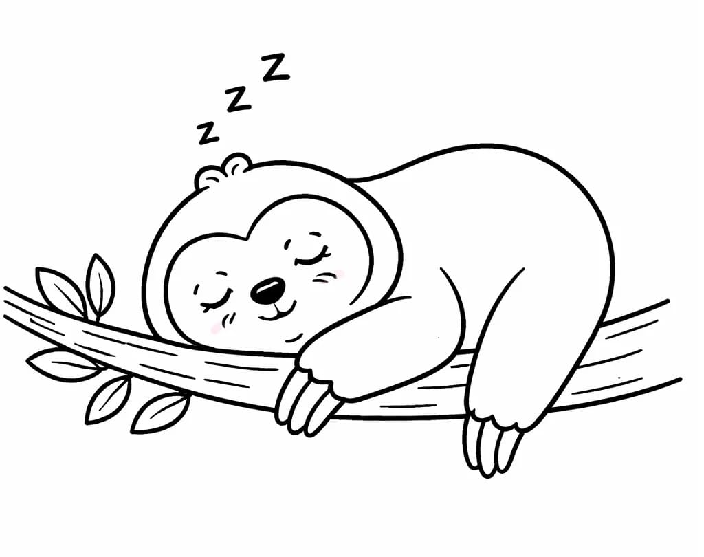 Tatlı Bir Tembel Hayvan Boyama Sayfası