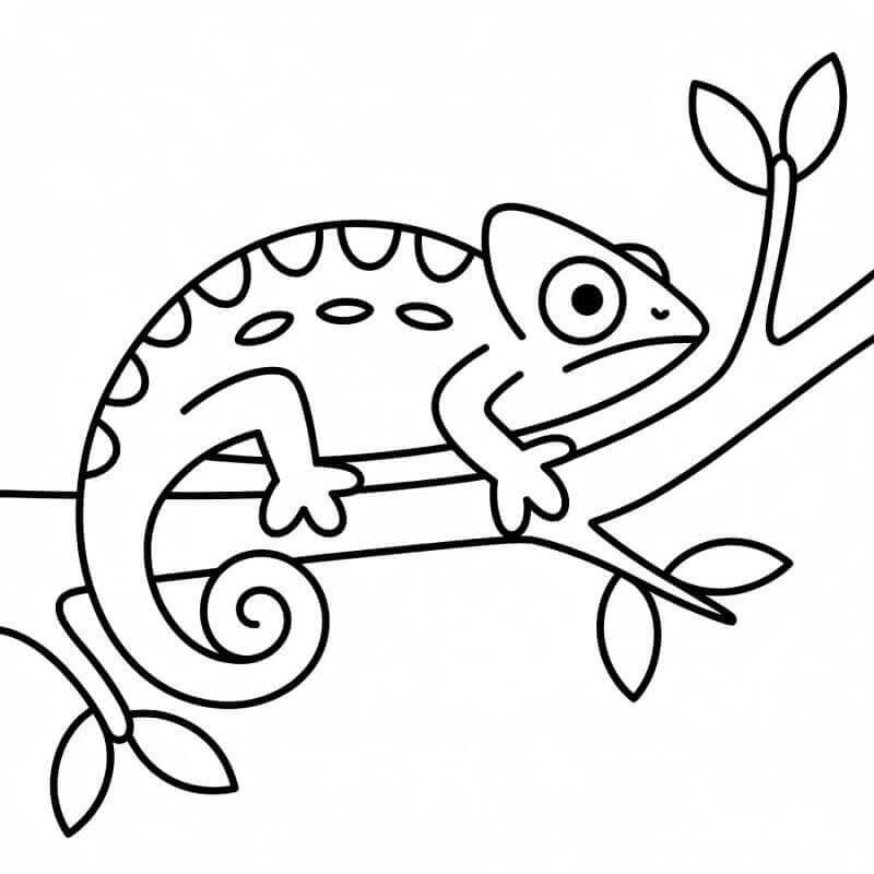 Ücretsiz Bukalemun Boyama Sayfası