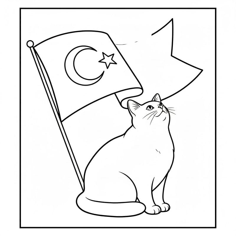 Yazdırılabilir Türk Bayrağı Boyama Sayfası