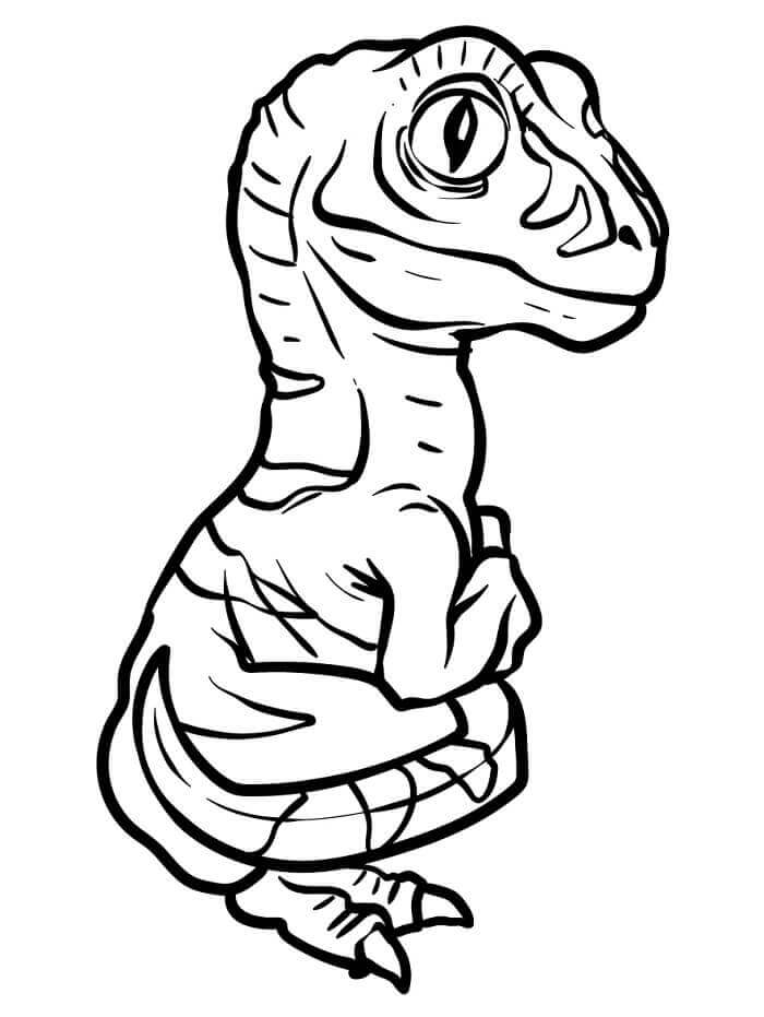 Animasyonlu Velociraptor Boyama Sayfası