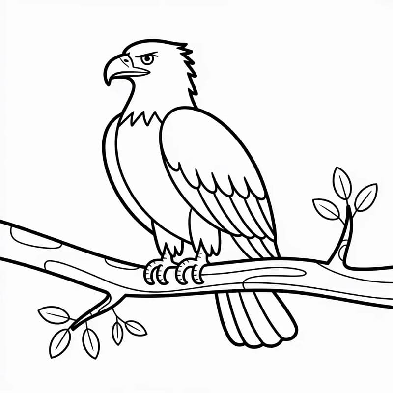 Bedava Çocuklar İçin Kartal Boyama Sayfası