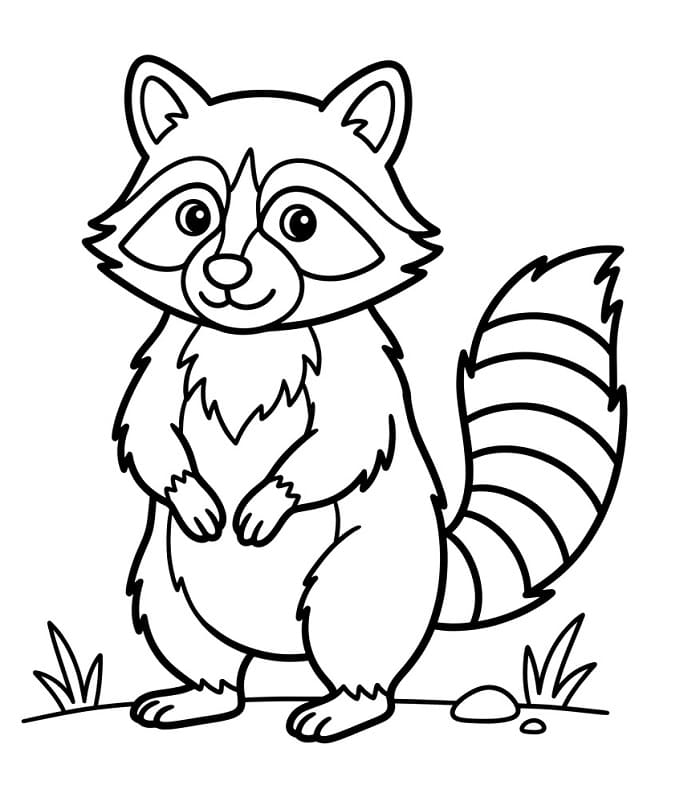 Bedava Çocuklar İçin Rakun Boyama Sayfası
