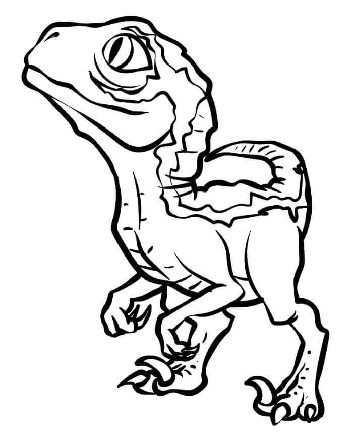 Bedava Velociraptor Çocuklar İçin Boyama Sayfası