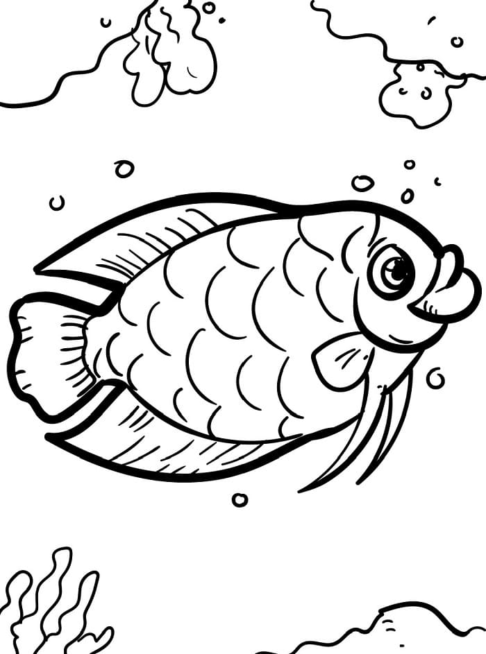 Bedava Yazdırılabilir Balık Boyama Sayfası