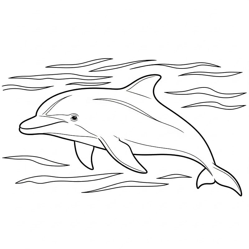 Bir Yunus Boyama Sayfası