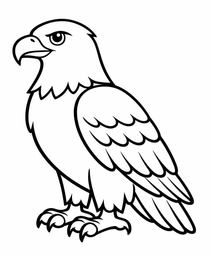 Çocuk Kartal Yazdırılabilir Boyama Sayfası