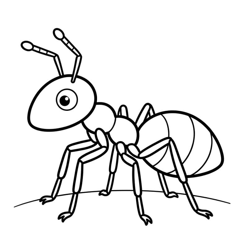Çok Sevimli Karınca Boyama Sayfası