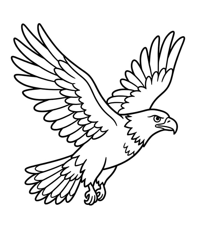 Güzel Kartal Boyama Sayfası