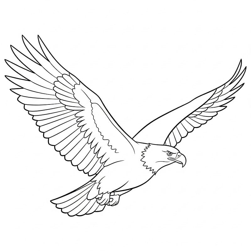 Harika Kartal Boyama Sayfası