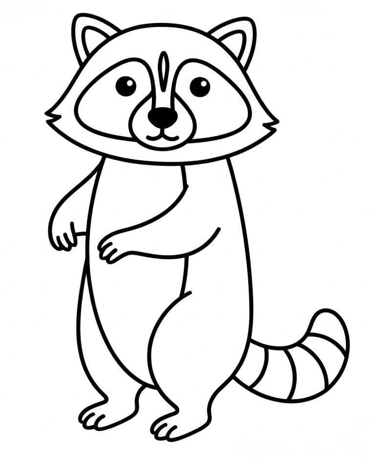 Hayvan Rakun Boyama Sayfası