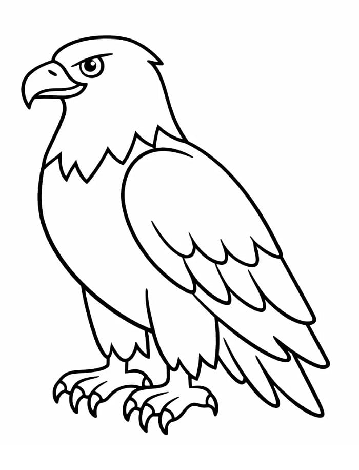 Hediye Kartal Boyama Sayfası