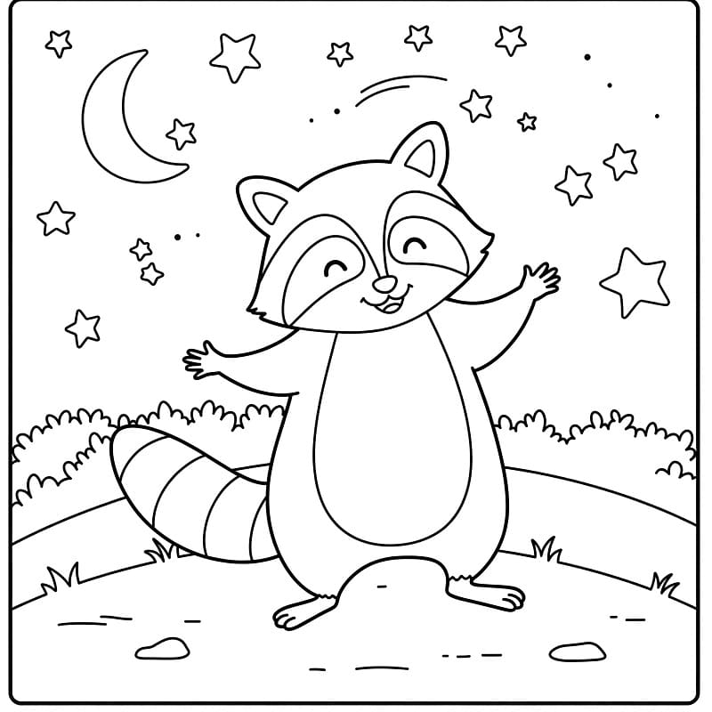 Kolay Rakun Boyama Sayfası