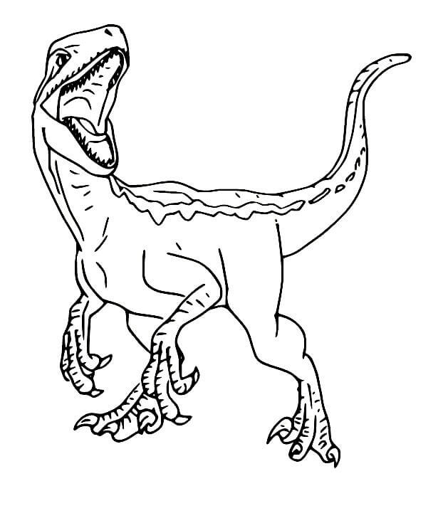 Küçük Velociraptor Boyama Sayfası