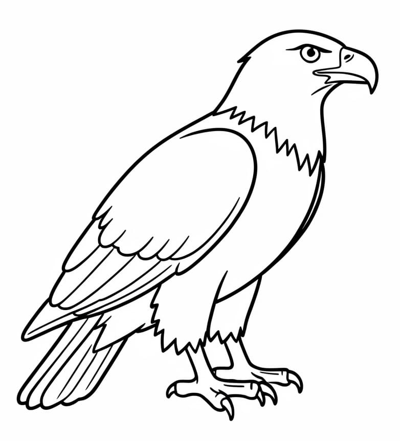 Muhteşem Kartal Boyama Sayfası