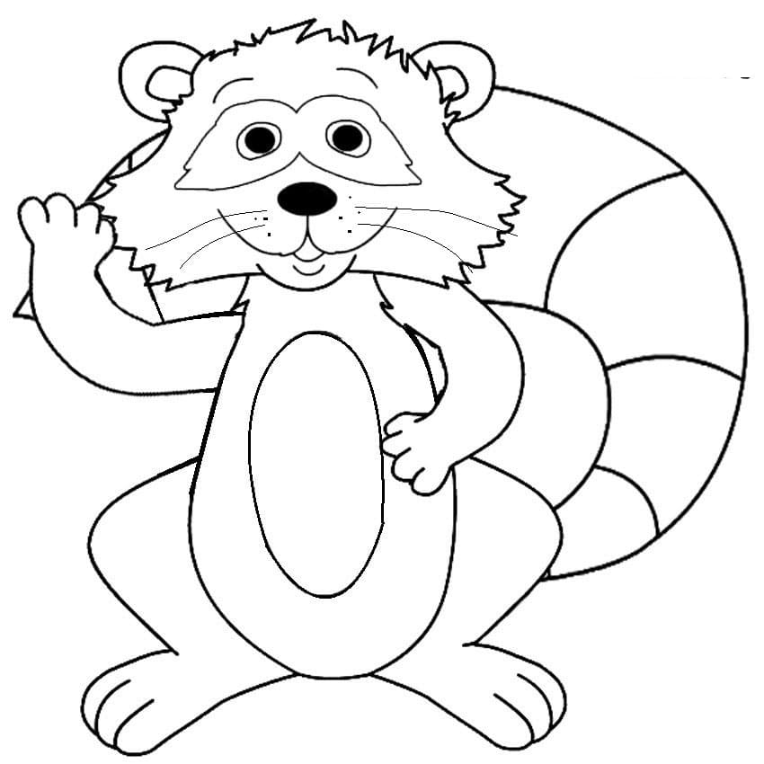 Rakun (6) Boyama Sayfası