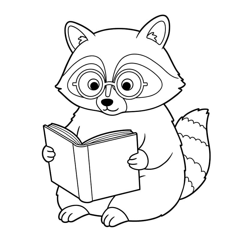 Sevimli Rakun Boyama Sayfası