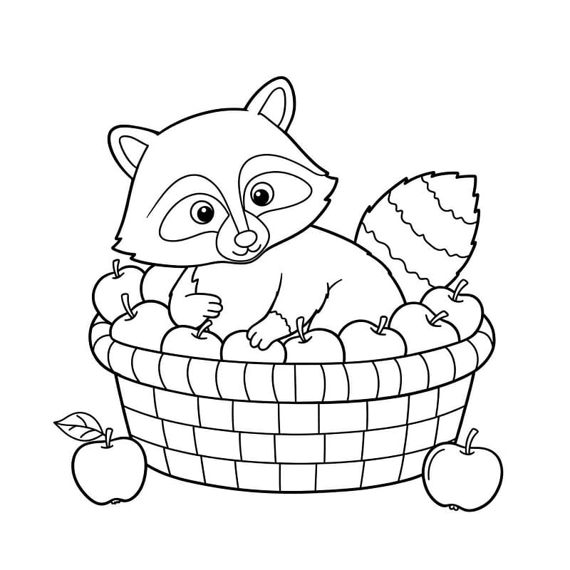 Şirin Rakun Boyama Sayfası