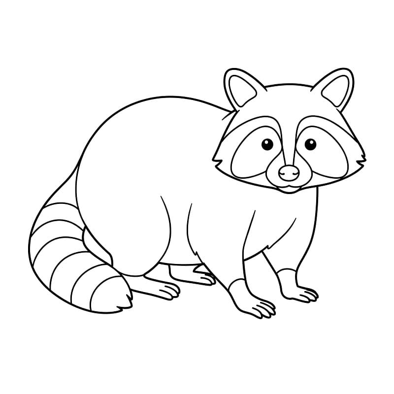 Tatlı Bir Rakun Boyama Sayfası