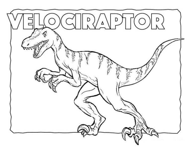 Velociraptor 3 Yaş Çocuklar İçin Boyama Sayfası