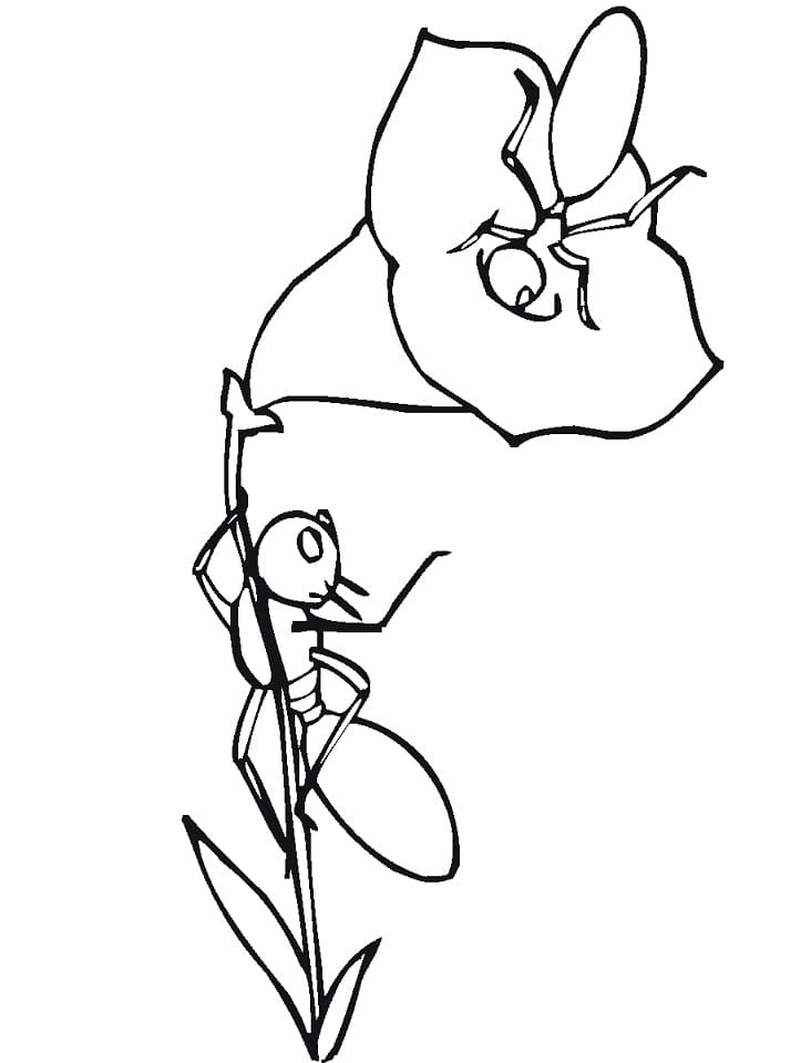 Yazdırılabilir Karınca Bedava Boyama Sayfası