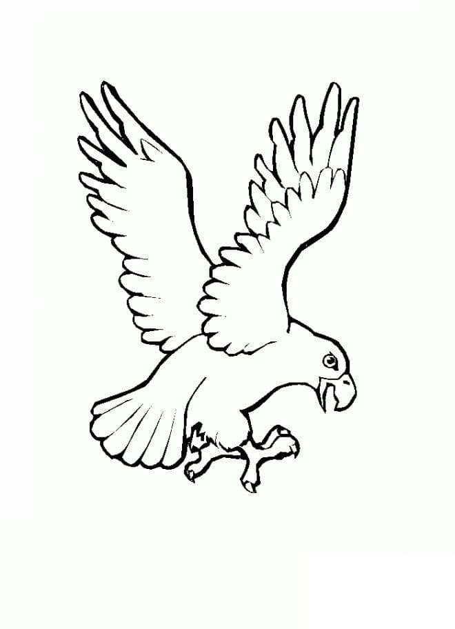 Yazdırılabilir Kartal Resim Boyama Sayfası