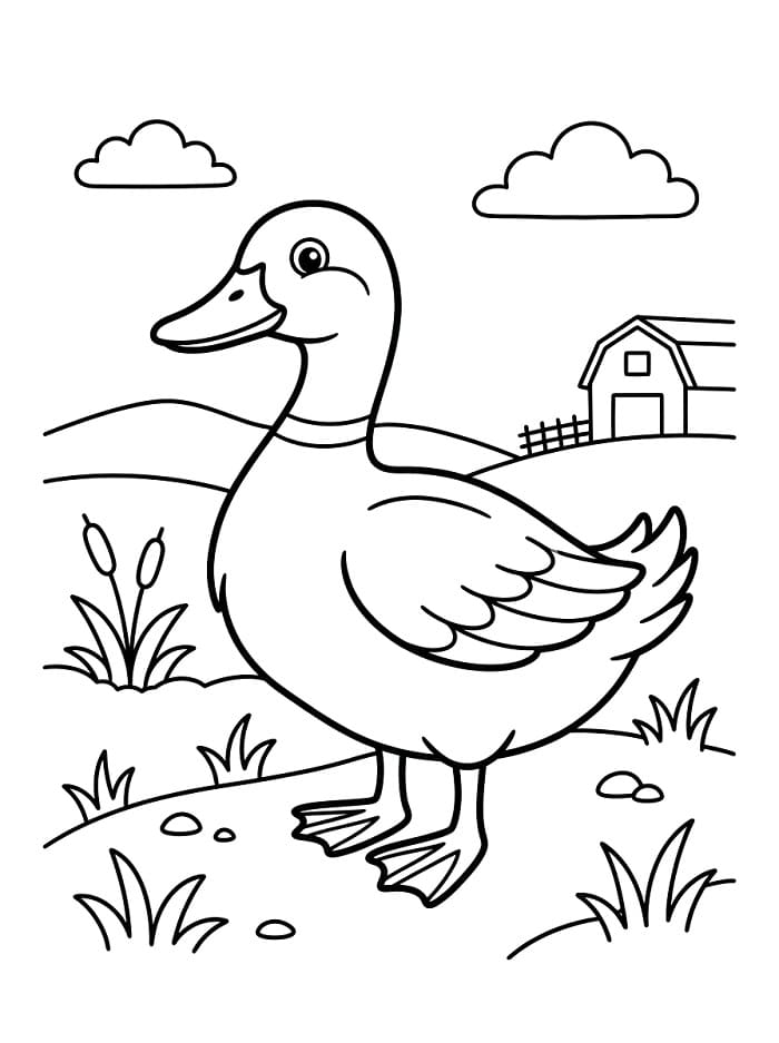 Basit Ördek Boyama Sayfası