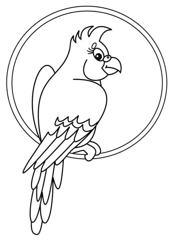 Bedava Papağan Çocuklar İçin Boyama Sayfası