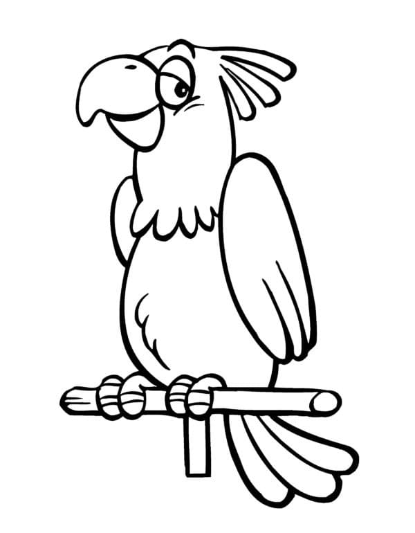 Bedava Papağan Yazdır Boyama Sayfası