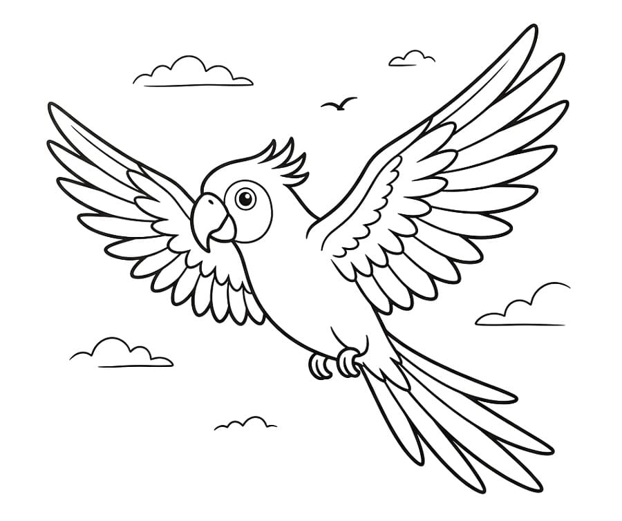 Papağan Boyama Sayfaları