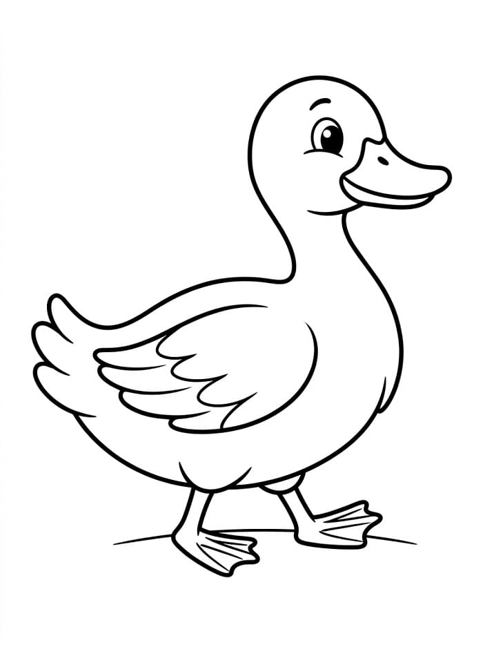 Bir Ördek Boyama Sayfası