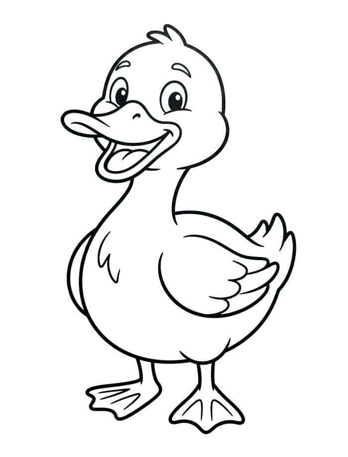 Çizgi Ördek Boyama Sayfası