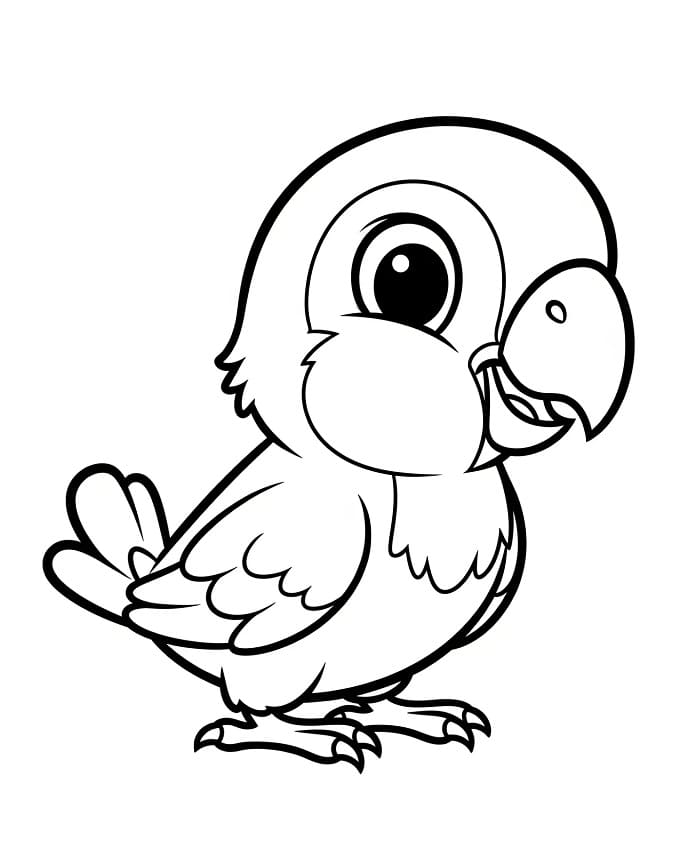 Çocuk Papağan Yazdırılabilir Boyama Sayfası