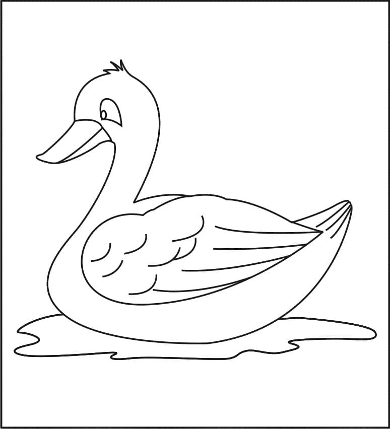 Çocuklar İçin Ördek Boyama Sayfası