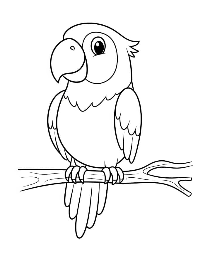 Çocuklar İçin Papağan Boyama Sayfası