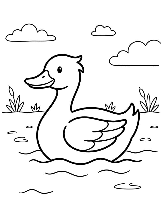 Hoş Ördek Boyama Sayfası