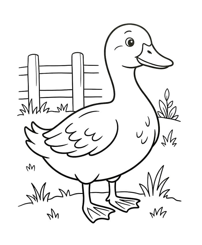 Ördek Boyama Sayfaları