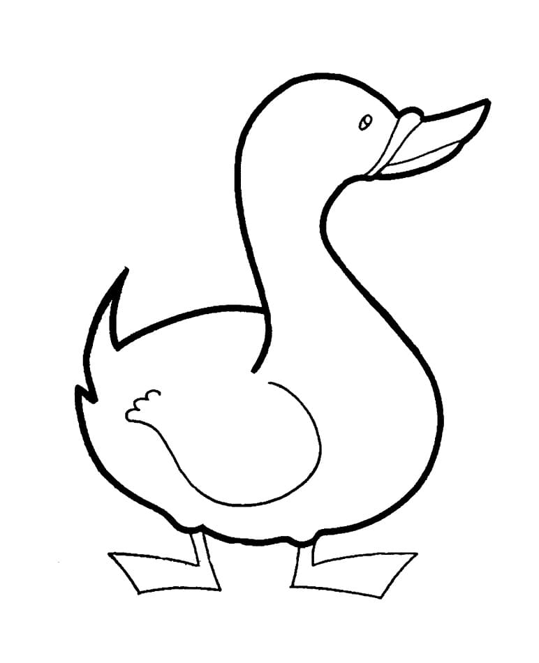 Ördek 6 Yaş Çocuklar İçin Boyama Sayfası