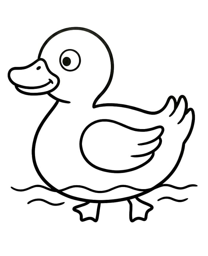 Ördek Bedava Boyama Sayfası