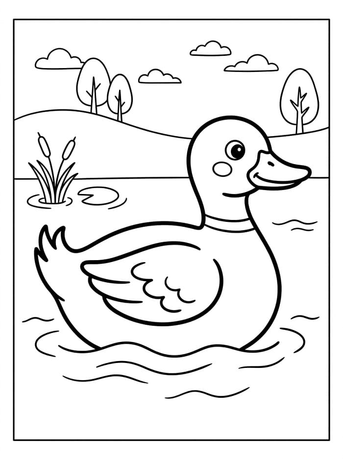 Ördek Renklendir Boyama Sayfası