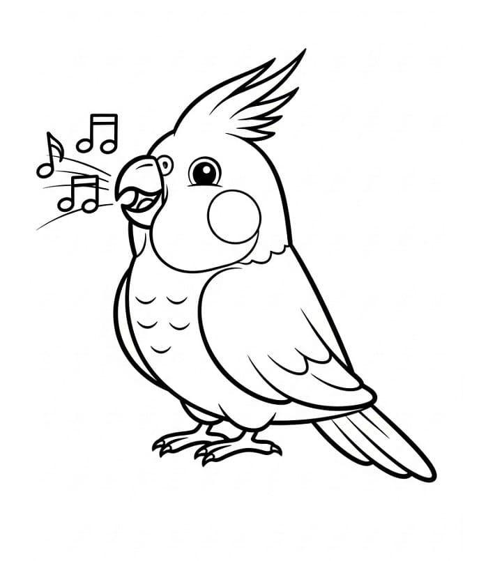 Papağan Renklendir Boyama Sayfası