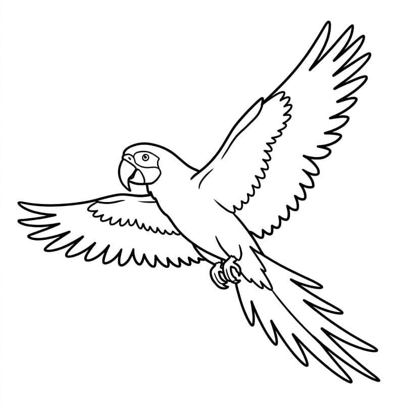 Papağan Uçuyor Boyama Sayfası