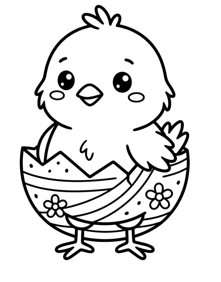 Paskalya Civciv Yavrusu Boyama Sayfası