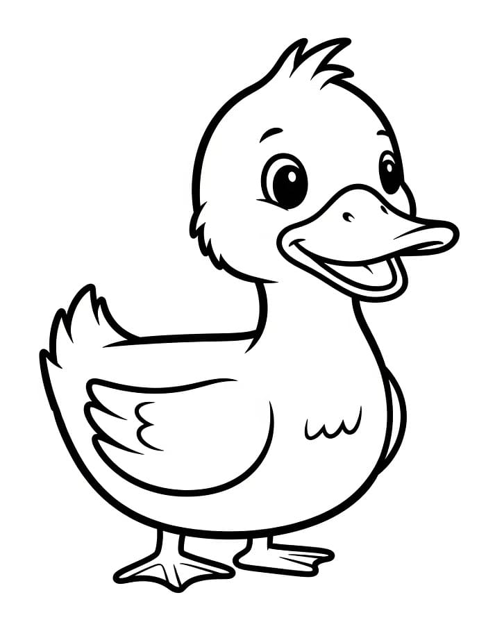 Şirin Ördek Boyama Sayfası