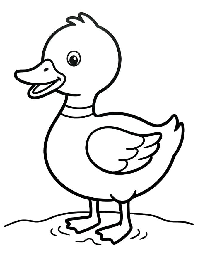 Ücretsiz Ördek Yazdırılabilir Boyama Sayfası