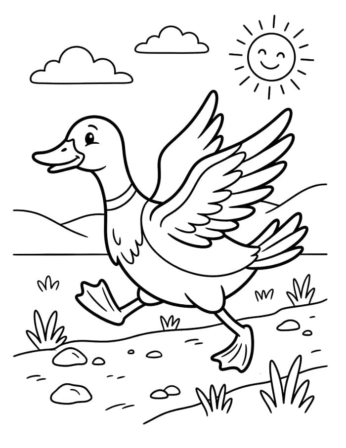 Ücretsiz Ördek Boyama Sayfası