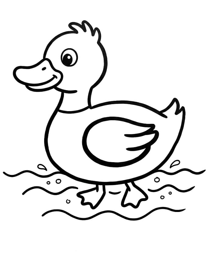 Yazdır Ördek Boyama Sayfası