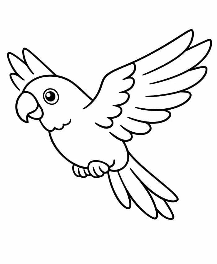 Yazdır Papağan Boyama Sayfası