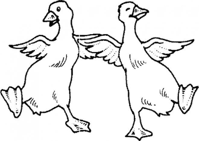 Yazdırılabilir Bedava Ördek Boyama Sayfası