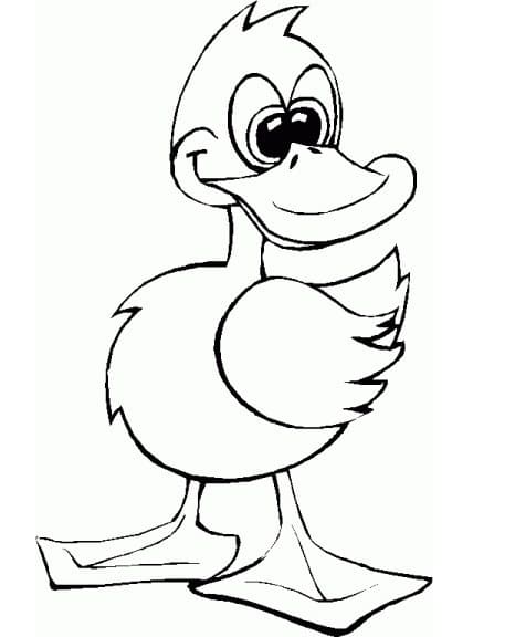 Yazdırılabilir Ördek Resim Boyama Sayfası