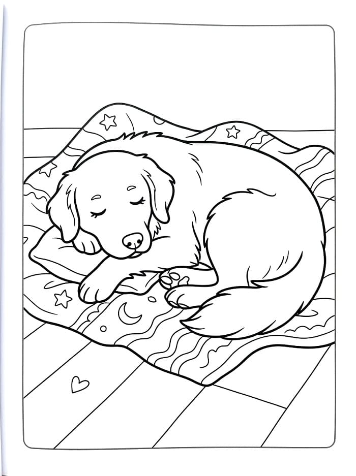 Basit Golden Retriever Boyama Sayfası